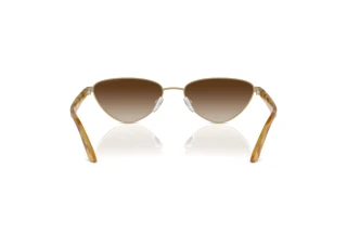 Rear view Emporio Armani EA2153 (301313)