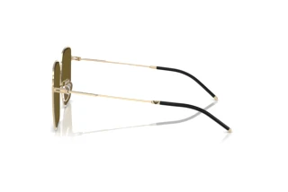 Side view Emporio Armani EA2159D (301373)