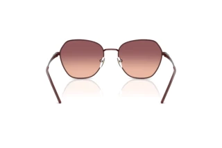 Rear view Emporio Armani EA2161 (34018D)