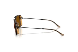 Side view Emporio Armani EA2162 (300163)