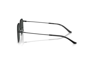 Side view Emporio Armani EA2165D (300187)
