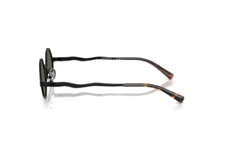 Side view Emporio Armani EA2166 (3001/2)