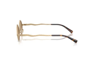 Side view Emporio Armani EA2166 (30027J)
