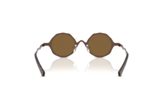 Rear view Emporio Armani EA2166 (300473)