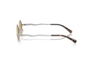 Side view Emporio Armani EA2166 (3015/2)