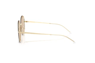 Side view Emporio Armani EA2168 (301393)