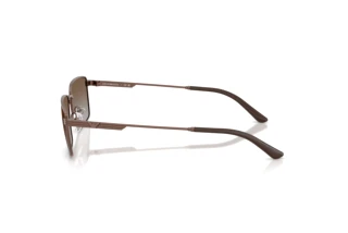 Side view Emporio Armani EA2169 (300689)