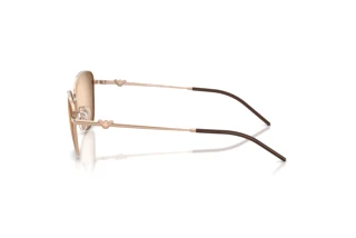 Side view Emporio Armani EA2170 (301113)