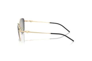 Side view Emporio Armani EA2170 (30138G)