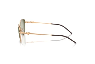 Side view Emporio Armani EA2170 (342713)