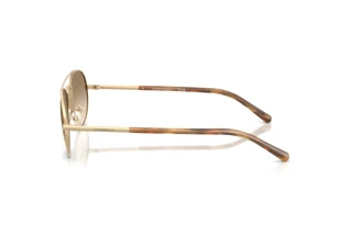 Side view Emporio Armani EA2171 (300213)