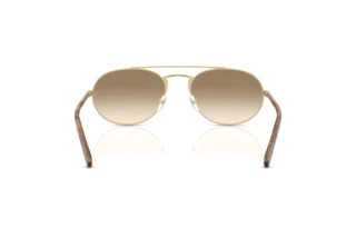 Rear view Emporio Armani EA2171 (300213)