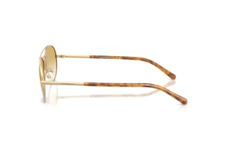 Side view Emporio Armani EA2171 (30022Q)