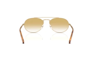 Rear view Emporio Armani EA2171 (30022Q)