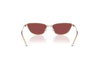 Rear view Emporio Armani EA2174B (301175)