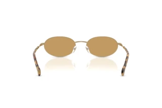 Rear view Emporio Armani EA2175 (300273)