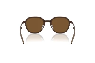 Rear view Emporio Armani EA2176 (300693)