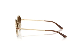 Side view Emporio Armani EA2177 (344113)