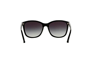 Rear view Emporio Armani EA4060 (50178G)