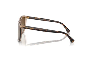 Side view Emporio Armani EA4060 (5850T5)