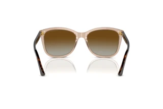 Rear view Emporio Armani EA4060 (5850T5)