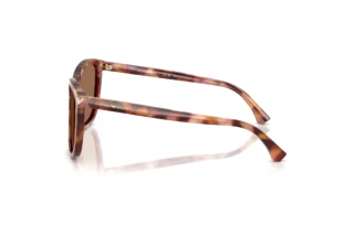 Side view Emporio Armani EA4060 (619673)
