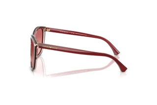 Side view Emporio Armani EA4060 (6377A5)