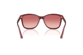 Rear view Emporio Armani EA4060 (6377A5)