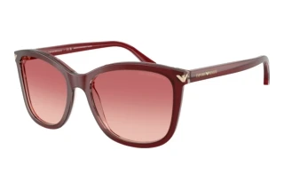Front view Emporio Armani EA4060 (6377A5)