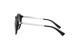 Side view Emporio Armani EA4134 (501711)