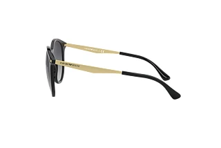 Side view Emporio Armani EA4148 (500187)