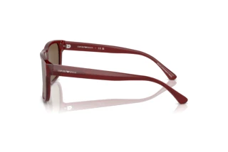 Side view Emporio Armani EA4163 (507573)