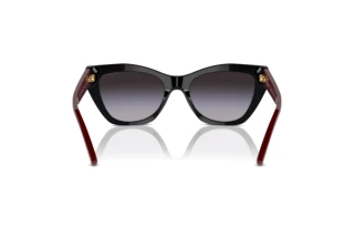 Rear view Emporio Armani EA4176 (50178G)