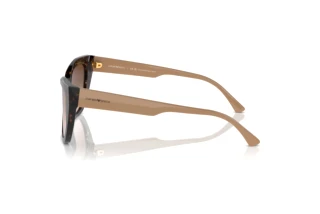 Side view Emporio Armani EA4176 (587913)