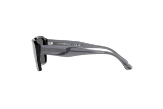 Side view Emporio Armani EA4186 (501787)