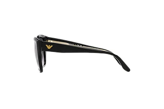 Side view Emporio Armani EA4198 (50178G)