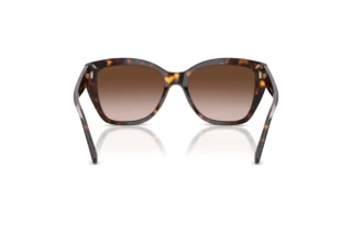 Rear view Emporio Armani EA4198 (502613)