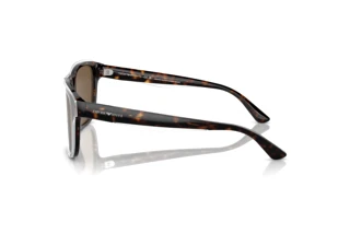 Side view Emporio Armani EA4208 (605273)