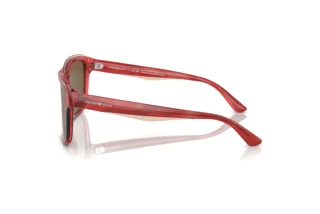 Side view Emporio Armani EA4208 (605373)