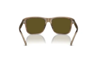 Rear view Emporio Armani EA4208 (605573)