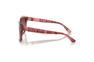 Side view Emporio Armani EA4209 (605713)