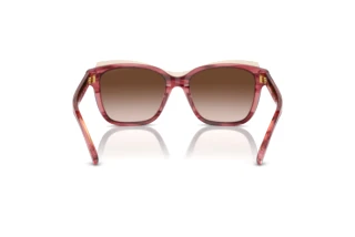 Rear view Emporio Armani EA4209 (605713)
