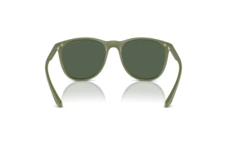 Rear view Emporio Armani EA4210 (542471)