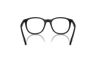 Rear view Emporio Armani EA4211 (50011W)