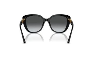 Rear view Emporio Armani EA4214U (50178G)