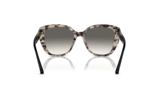 Rear view Emporio Armani EA4214U (605811)