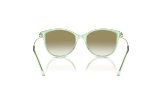 Rear view Emporio Armani EA4220 (61078E)