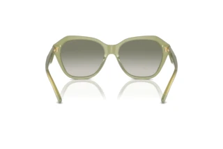Rear view Emporio Armani EA4221 (61168E)