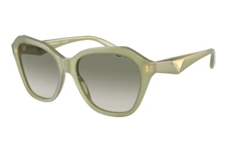 Front view Emporio Armani EA4221 (61168E)
