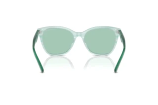 Rear view Emporio Armani EA4222U (611271)